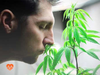 Детоксикация от марихуаны в Култаево